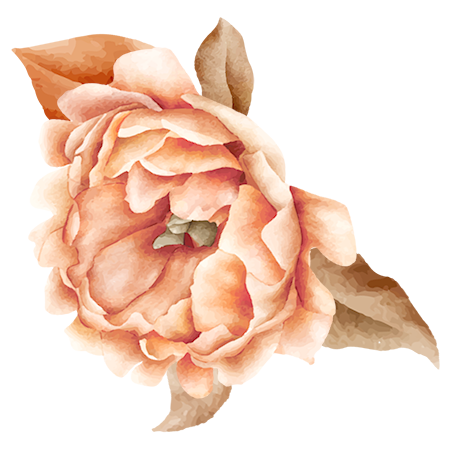 shape_0