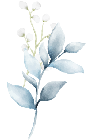 shape_2